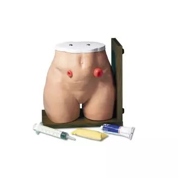 Simulateur de Soins de Stomie Erler Zimmer R10133